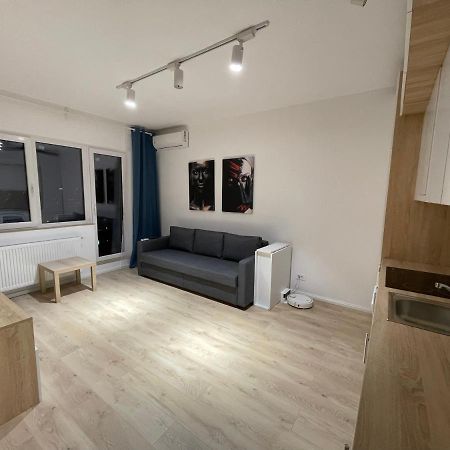 Treasure Luxury Apartment Palace Bucarest Esterno foto
